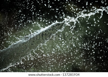 Abstract water splash shape.