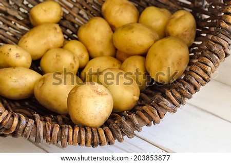 Harvest of organic farm fresh potatoes in a rustic basket on a light wooden background