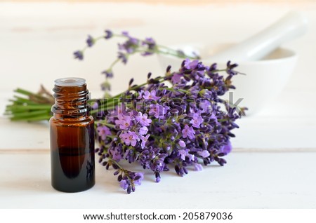 Essential lavender oil in a dark glass bottle decorated with a bunch of freshly gathered lavender flowers