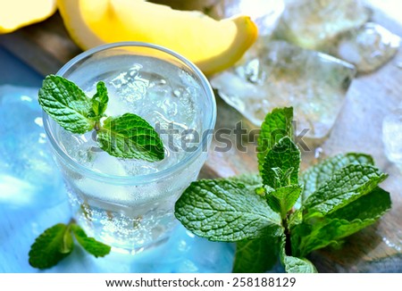 Summer mint lemon cooler, soda with ice or lemon mojito