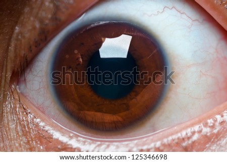 close up of wide open brown eye