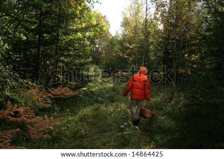 In a wood behind mushrooms in bright clothes