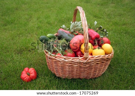 Basket with vegetables - autumn gifts of a nature