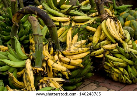Fresh Ripe Bananas for sale at open air Farmers market in Ecuador