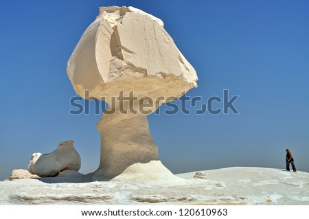 Mushrooms rock formations in the White Desert in Egypt. The limestones are located nearby Farafra Oasis in the western desert, egyptian eastern Sahara