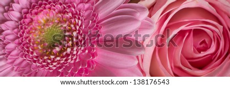 Pink flowers banner
