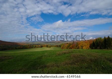 Autumn forest colors  (Quebec, Canada)