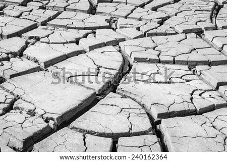 Black and White Dry cracked earth background