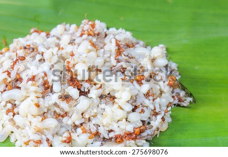 Ant eggs are foods that have been popular among people in Thailand.