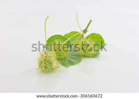 Passiflora foetida is a herb that Thailand used to treat various diseases.