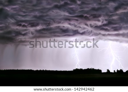 Night thunderstorm,rain,lightning,in the field of the forest.