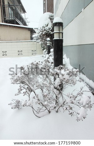 TOKYO, JAPAN- Feb08 : The heaviest snow in decades in Tokyo and other areas of Japan  , On FEB 08, 2014 in  Japan