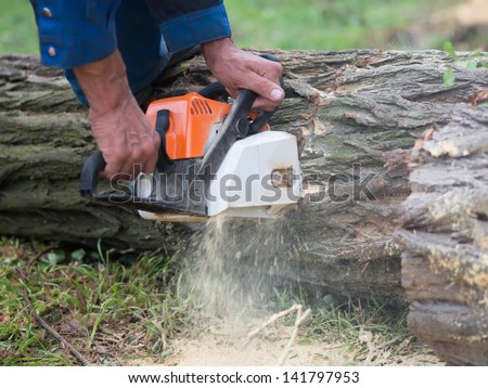 man sawing wood