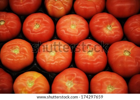 greenhouse tomatoes at the market