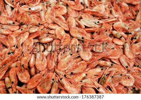 Frozen shrimp close up
