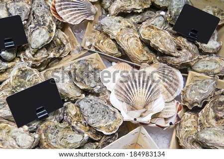 a large variety of seafood oysters in a supermarket