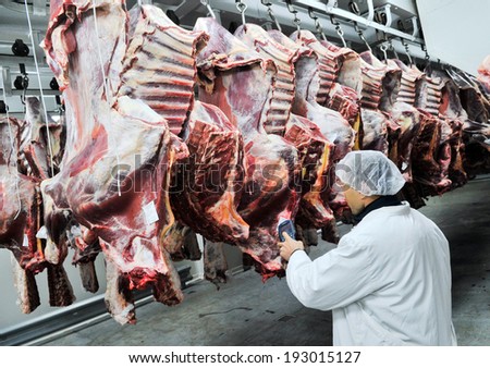 Kazatin, UKRAINE-September 16, 2010: production of minced meat in a butcher shop, September 15, 2010 in a meat factory, Kazatin, Ukraine