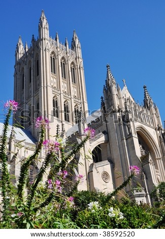 National Cathedral. Unusual flowers adjoin to  National Cathedral.