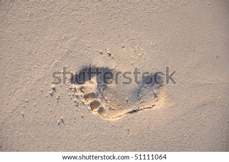 Trace on sand. A foot print on wet sand of a beach.