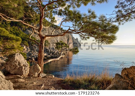 Summer landscape with wooded cliffs by the sea. Black Sea. Southern coast of Crimea, Ukraine, Europe