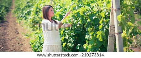 beautiful young woman, walks on a vineyard in a hot summer, sunny day.