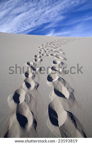 A trail of two pair of footprints going up the side of a sand dune in Colorado. Great Sand Dune National Park.