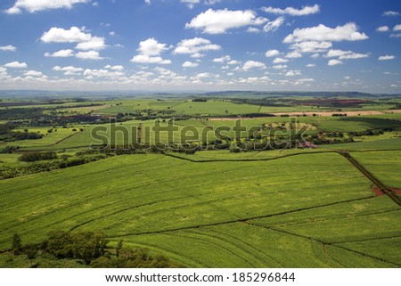 Aerial view from a sugar cane farm