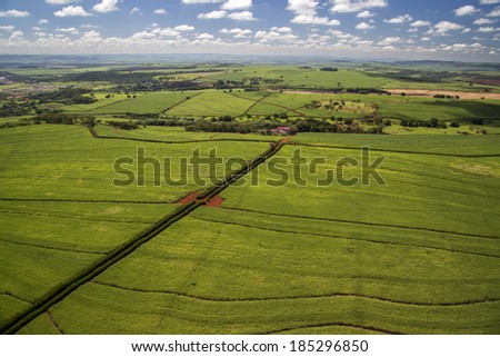 Aerial view from a sugar cane farm