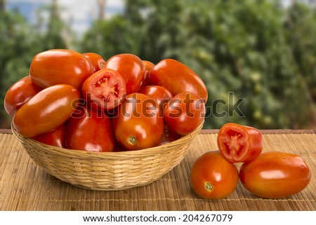 Some tomatoes over a wooden surface on a tomato field as background
