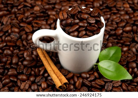coffee cup with roasted beans.
