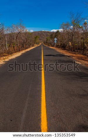 direct asphalt road in thailand. go ahead way