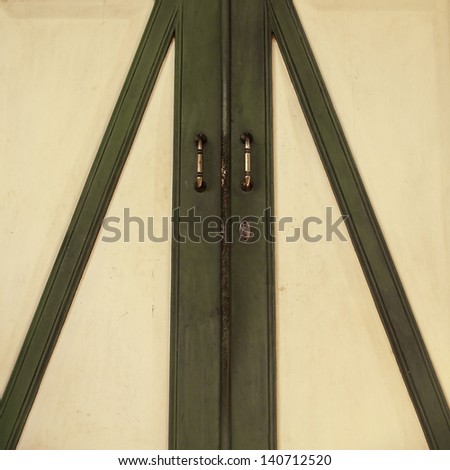 Double old white wood door with green pattern