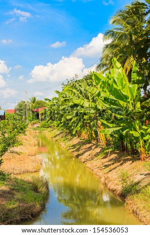 gutter for watering  pomelo and banana farm in thailand
