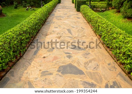 Path way in garden