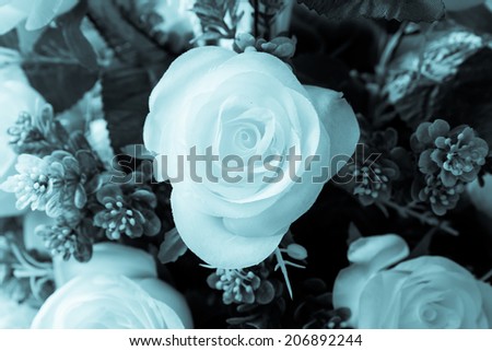 Bouquet of roses flower. Cool white filter.