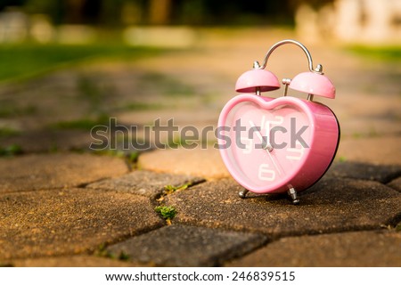 Pink heart shape alarm clock on walk path in garden.
