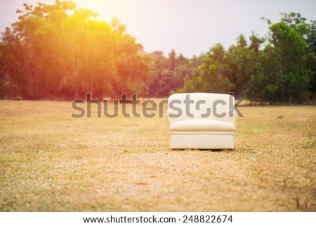 Concept white sofa in summer grass field. Vintage filter
