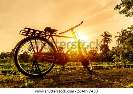 Art silhouette retro bicycle in park with sunset. Vintage filter.