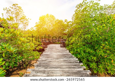 Wood walk path in mangrove forest. Vintage filter.