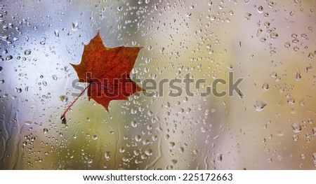 Autumn behind a rainy window