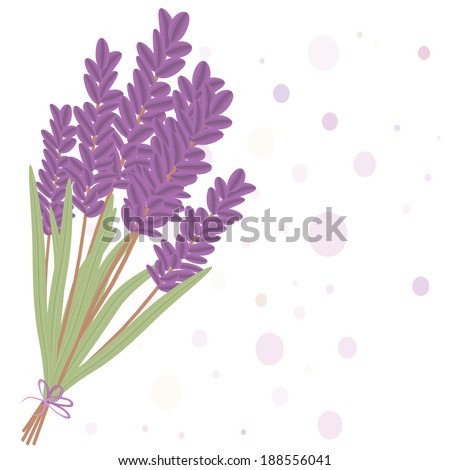 Romantic lavender flowers isolated in white background. Illustration format.