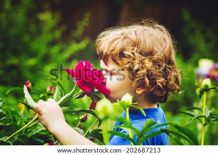 Child smelling bouquet of peonies, sun back lighting. Toning photo.