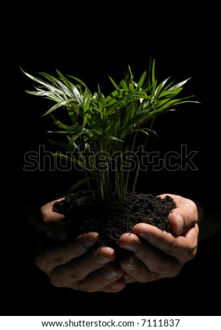 Two hands coming out of the darkness are holding carefully a little plant with it\'s roots in fresh black soil.