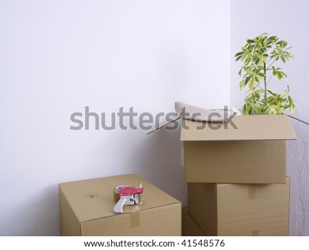 Boxes, cartons and a plant kept in the corner of a room during house moving process.