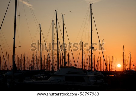 Travel Series - Europe, Italy - Masts silhouette at dusk in  Riva Di Traiano Harbor, Civitavecchia, Italy.