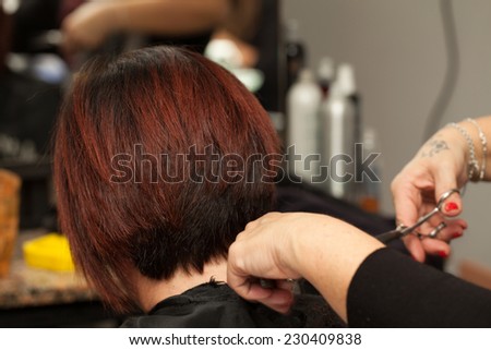 Hair cut in a professional hairdresser salon.