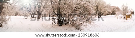 Vintage winter scenery with snowy forest in sepia tones, panoramic format.