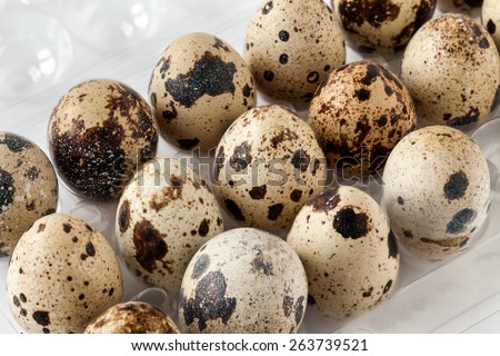 Closeup of quail eggs in egg tray.