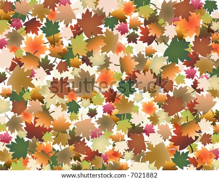 Autumn fall background with coloured leaves