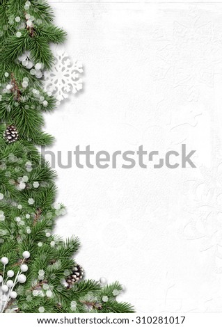 Fir tree winter border isolated on white background
